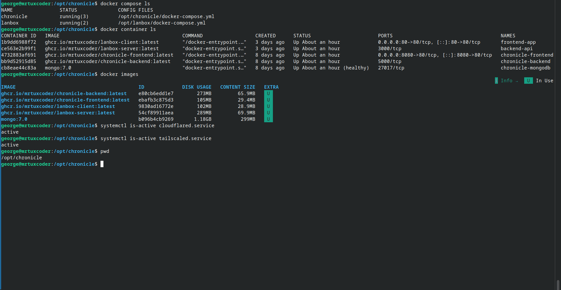 Chronicle Docker containers in the terminal